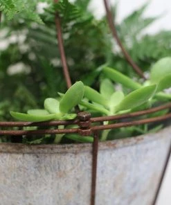 Nkuku Planters & Vases Abari Caged Hanging Planter