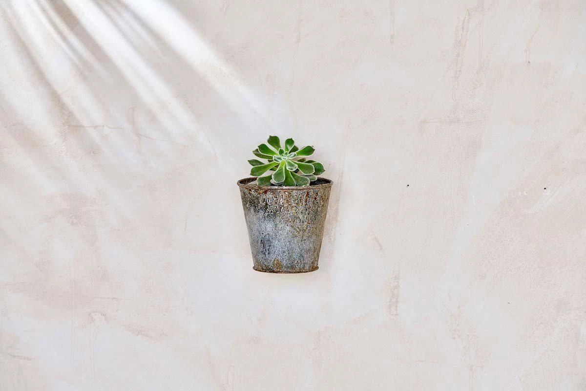 Nkuku Abari Wall Hung Planter Single Planters & Vases 3 Nkuku Abari Wall Hung Planter Single Planters & Vases