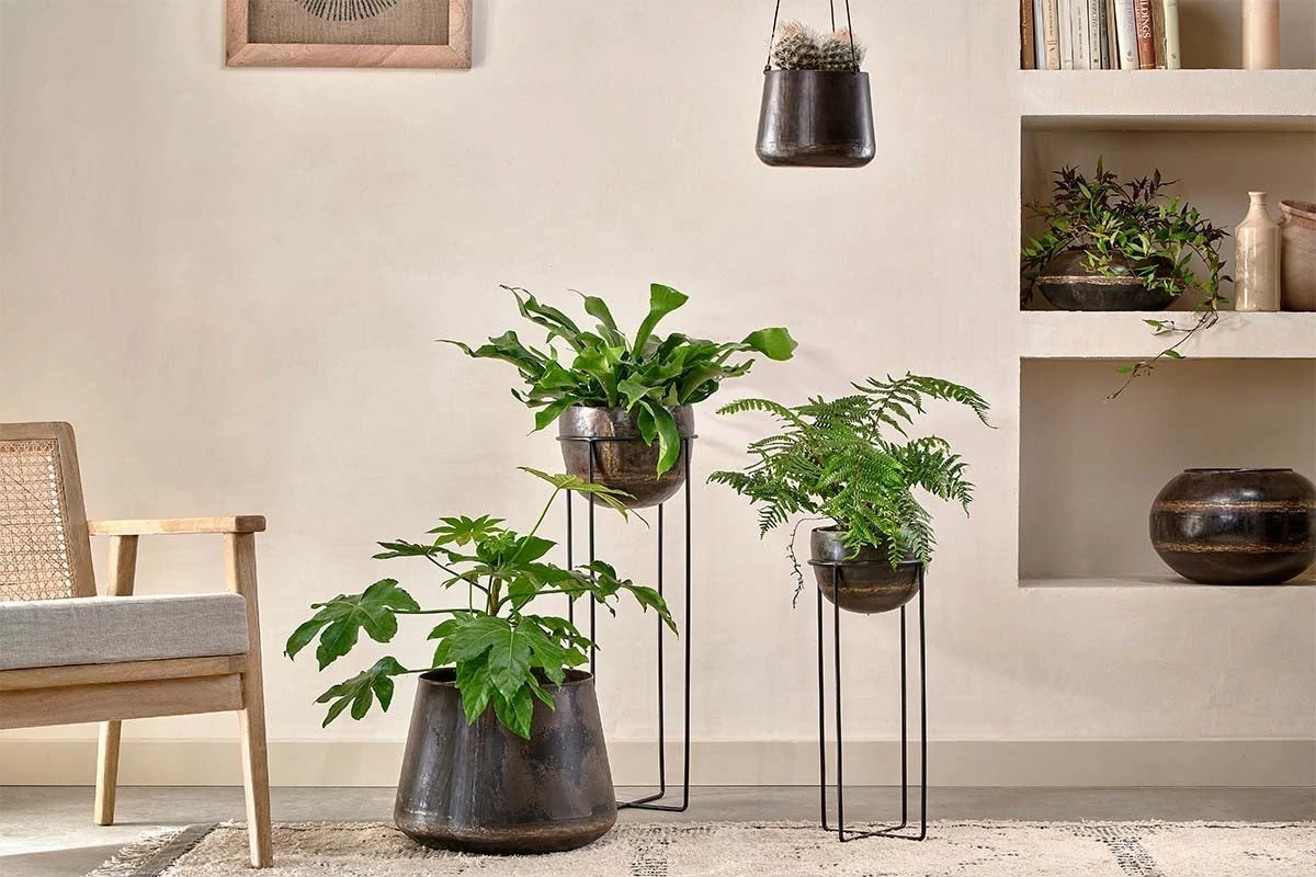 Nkuku Endo Reclaimed Iron Hanging Planter 6 Nkuku Endo Reclaimed Iron Hanging Planter