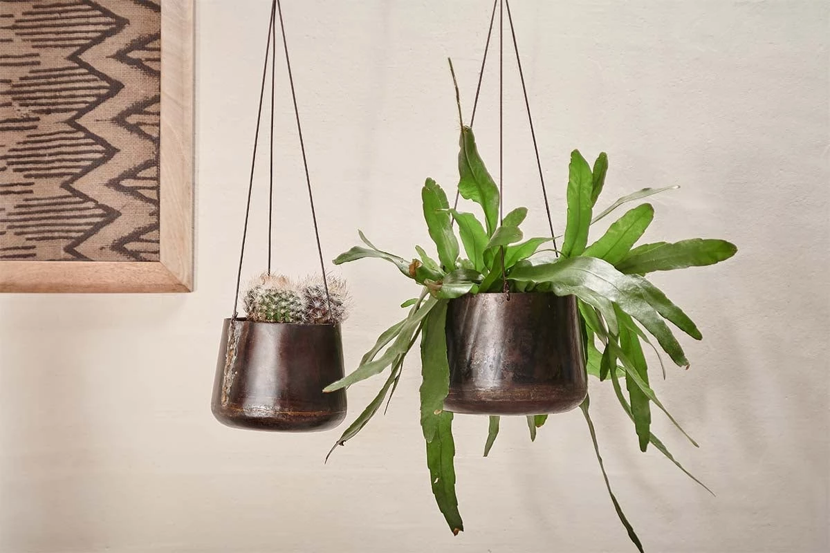 Nkuku Endo Reclaimed Iron Hanging Planter 3 Nkuku Endo Reclaimed Iron Hanging Planter