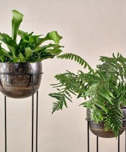 Nkuku Home Accessories Endo Reclaimed Iron Planter Stand 15 Nkuku Home Accessories Endo Reclaimed Iron Planter Stand