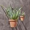 Nkuku Jara Single Wall Hung Planter Planters & Vases