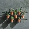Nkuku Jara Terracotta Wall Hung Planter 2 Nkuku Jara Terracotta Wall Hung Planter