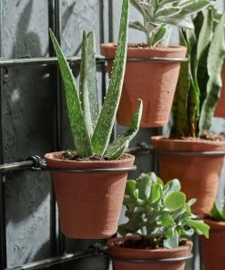 Nkuku Jara Terracotta Wall Hung Planter