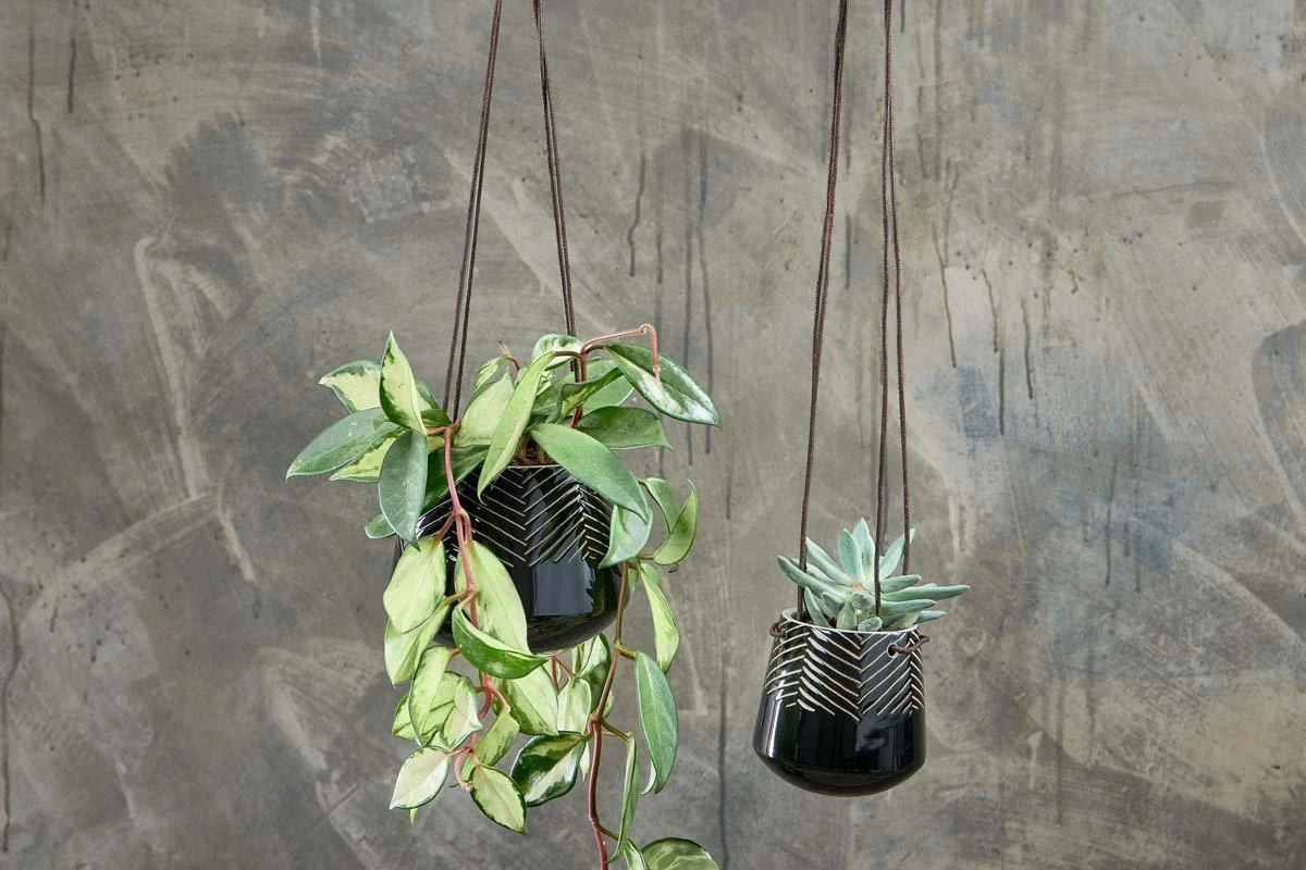 Nkuku Kavari Ceramic Hanging Planter Planters & Vases 3 Nkuku Kavari Ceramic Hanging Planter Planters & Vases