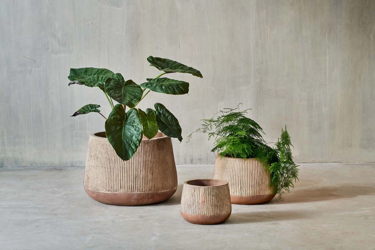 Nkuku Planters & Vases Large Wampu Wide Planter - Distressed Terracotta 5 Nkuku Planters & Vases Large Wampu Wide Planter - Distressed Terracotta