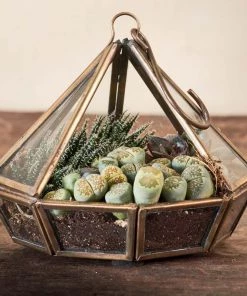 Nkuku Home Accessories Mina Hanging Terrarium