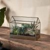 Nkuku Sampara Terrarium - Wide
