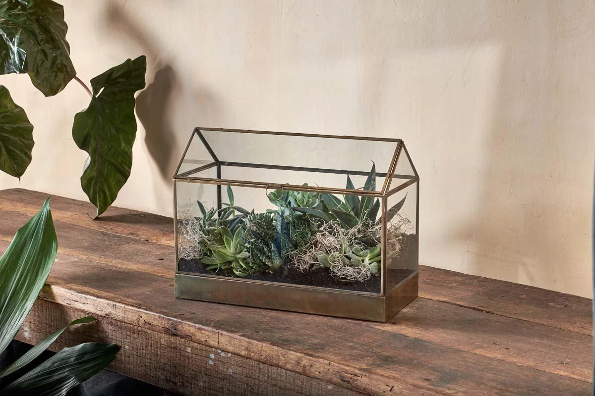 Nkuku Sampara Terrarium - Wide 3 Nkuku Sampara Terrarium - Wide