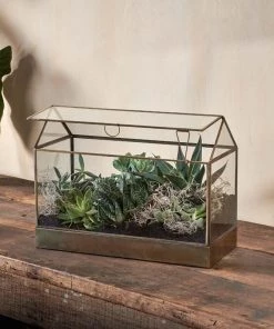 Nkuku Sampara Terrarium - Wide