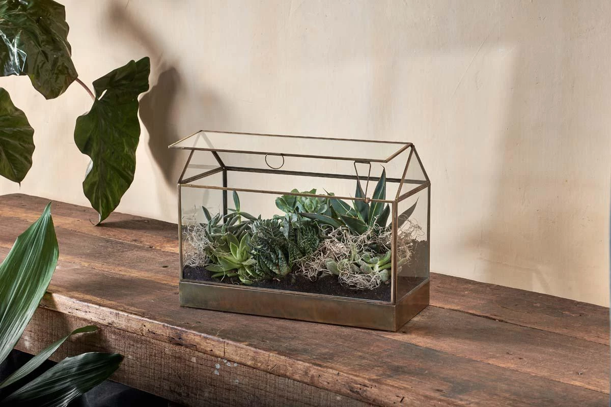 Nkuku Sampara Terrarium - Wide 4 Nkuku Sampara Terrarium - Wide