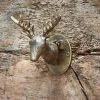 Nkuku Stag Door Knocker