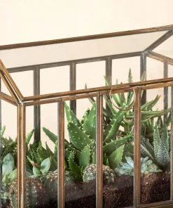 Nkuku Home Accessories Telaga Terrarium - Large 12 Nkuku Home Accessories Telaga Terrarium - Large