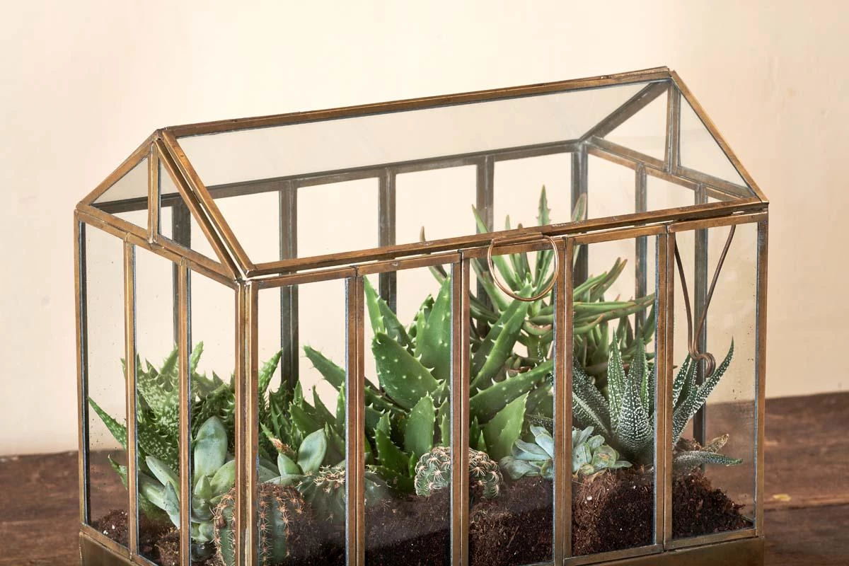 Nkuku Home Accessories Telaga Terrarium - Large 6 Nkuku Home Accessories Telaga Terrarium - Large