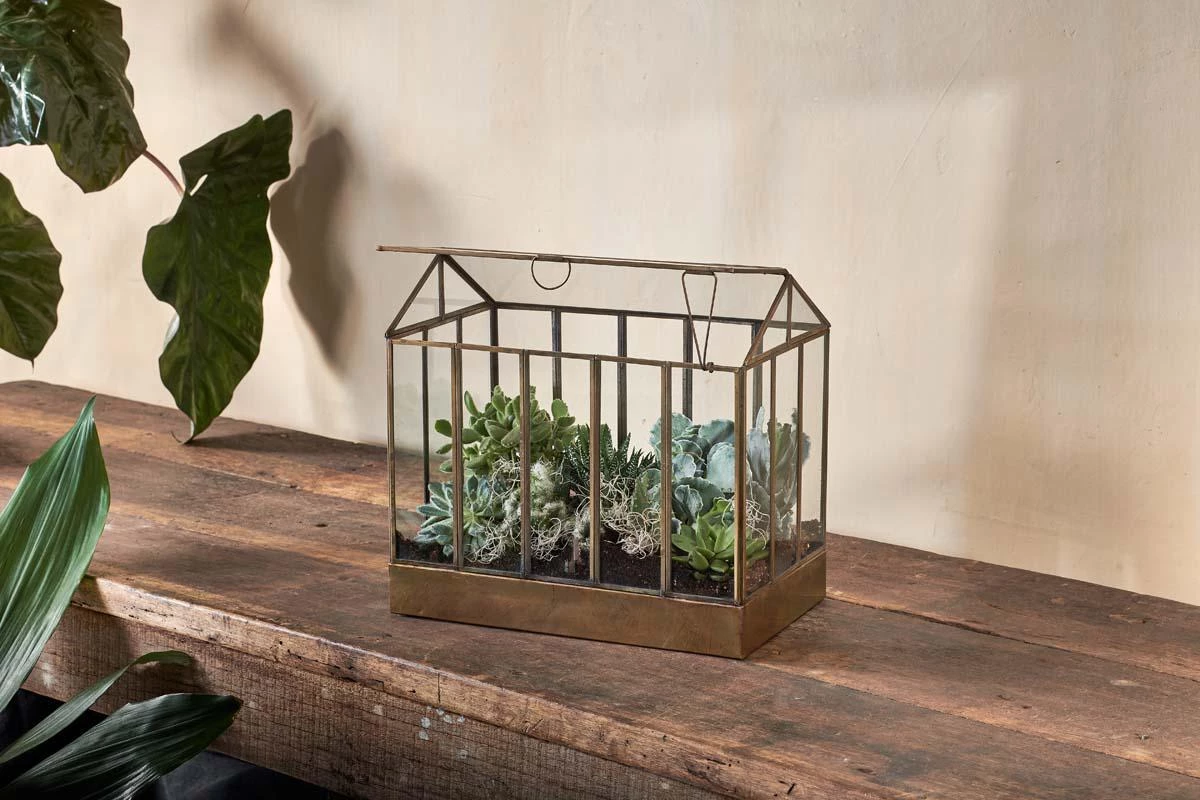 Nkuku Home Accessories Telaga Terrarium - Large 3 Nkuku Home Accessories Telaga Terrarium - Large