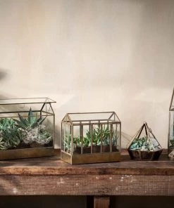 Nkuku Home Accessories Telaga Terrarium - Large 13 Nkuku Home Accessories Telaga Terrarium - Large