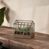 Nkuku Home Accessories Telaga Terrarium - Small