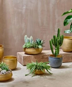 Nkuku Tembesi Etched Planter - Antique Brass (Set Of 2)