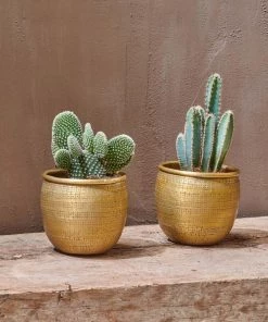 Nkuku Tembesi Etched Planter - Antique Brass (Set Of 2)