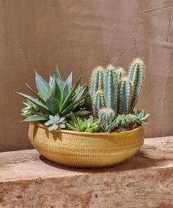 Nkuku Home Accessories Tembesi Etched Round Planter Bowl