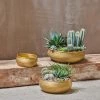 Nkuku Home Accessories Tembesi Etched Round Planter Bowl