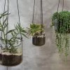 Nkuku Viri Hanging Planter - Clear Home Accessories 1 Nkuku Viri Hanging Planter - Clear Home Accessories