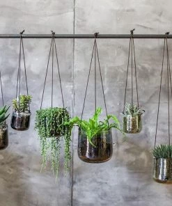 Nkuku Viri Hanging Planter - Clear Home Accessories