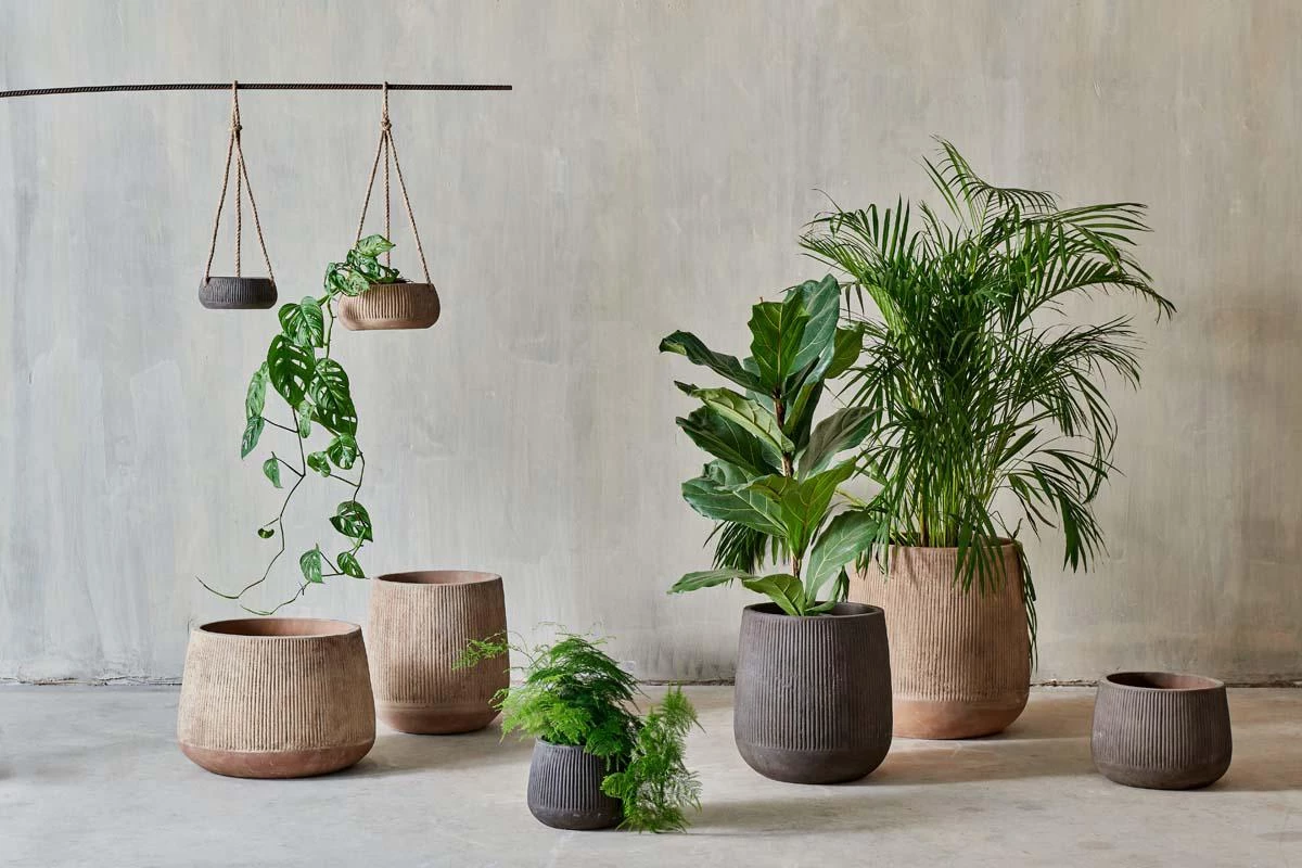 Nkuku Planters & Vases Wampu Tall Planter - Distressed Terracotta 8 Nkuku Planters & Vases Wampu Tall Planter - Distressed Terracotta