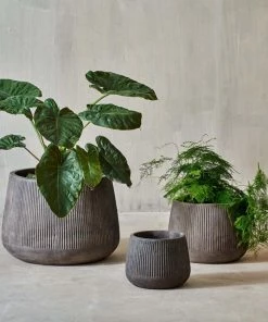 Nkuku Wampu Wide Planter - Distressed Brown / Black Planters & Vases